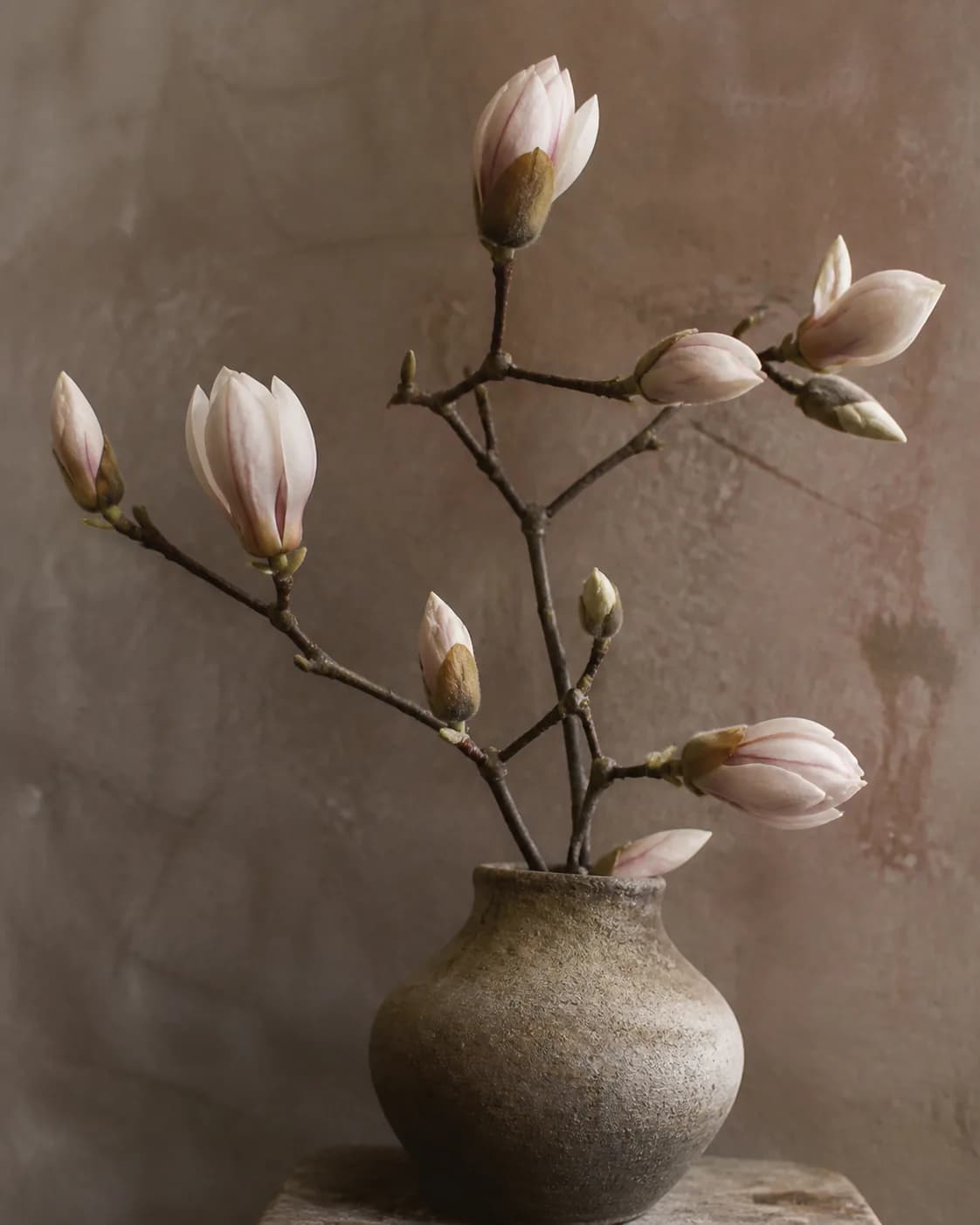 Botanical moodboard 5