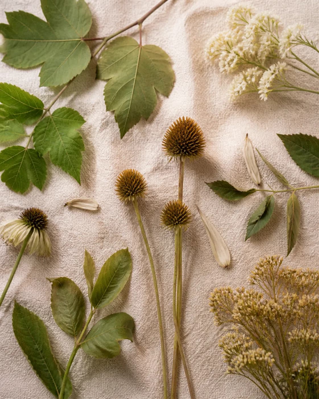 Botanical moodboard 10