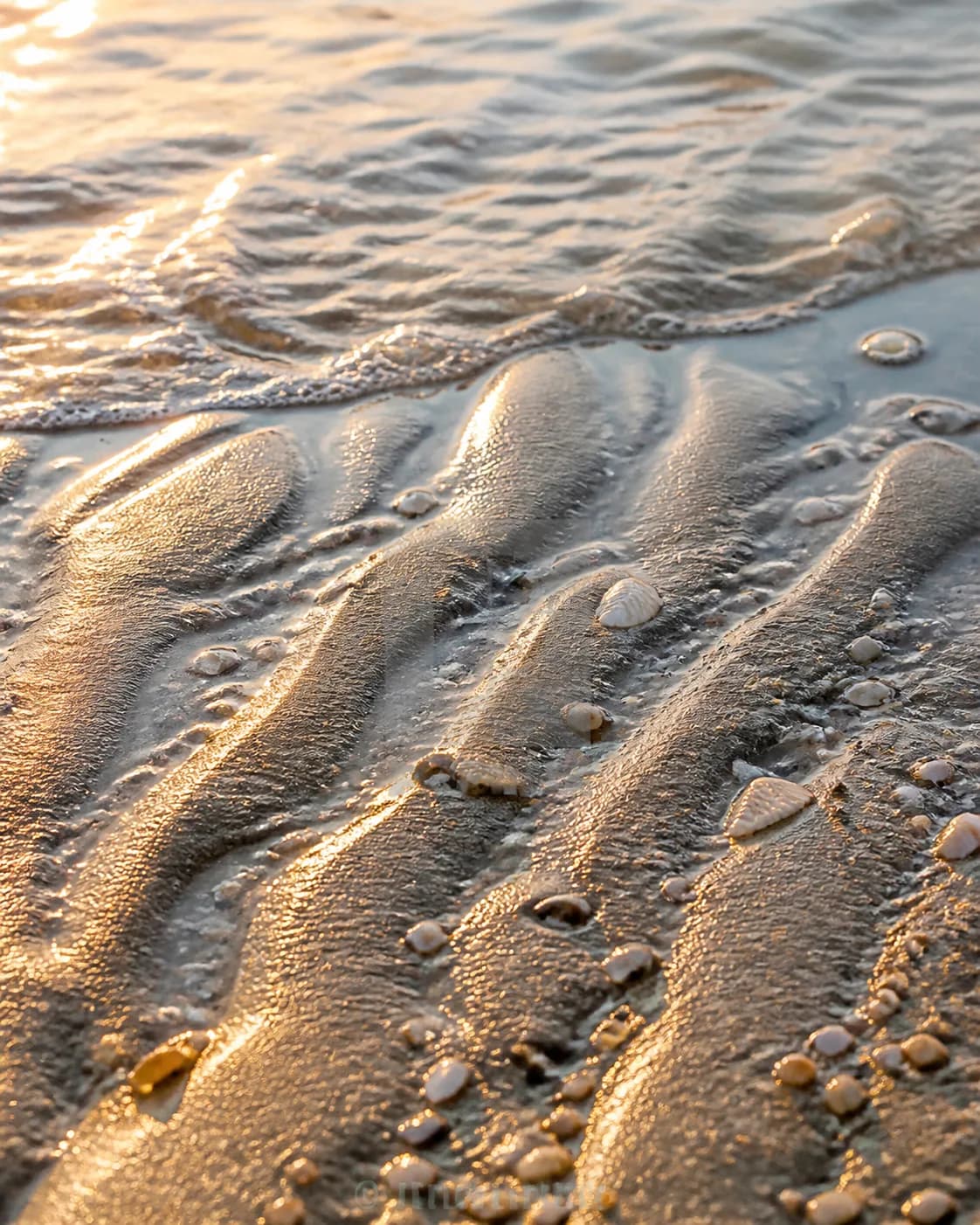 Coastal moodboard 13