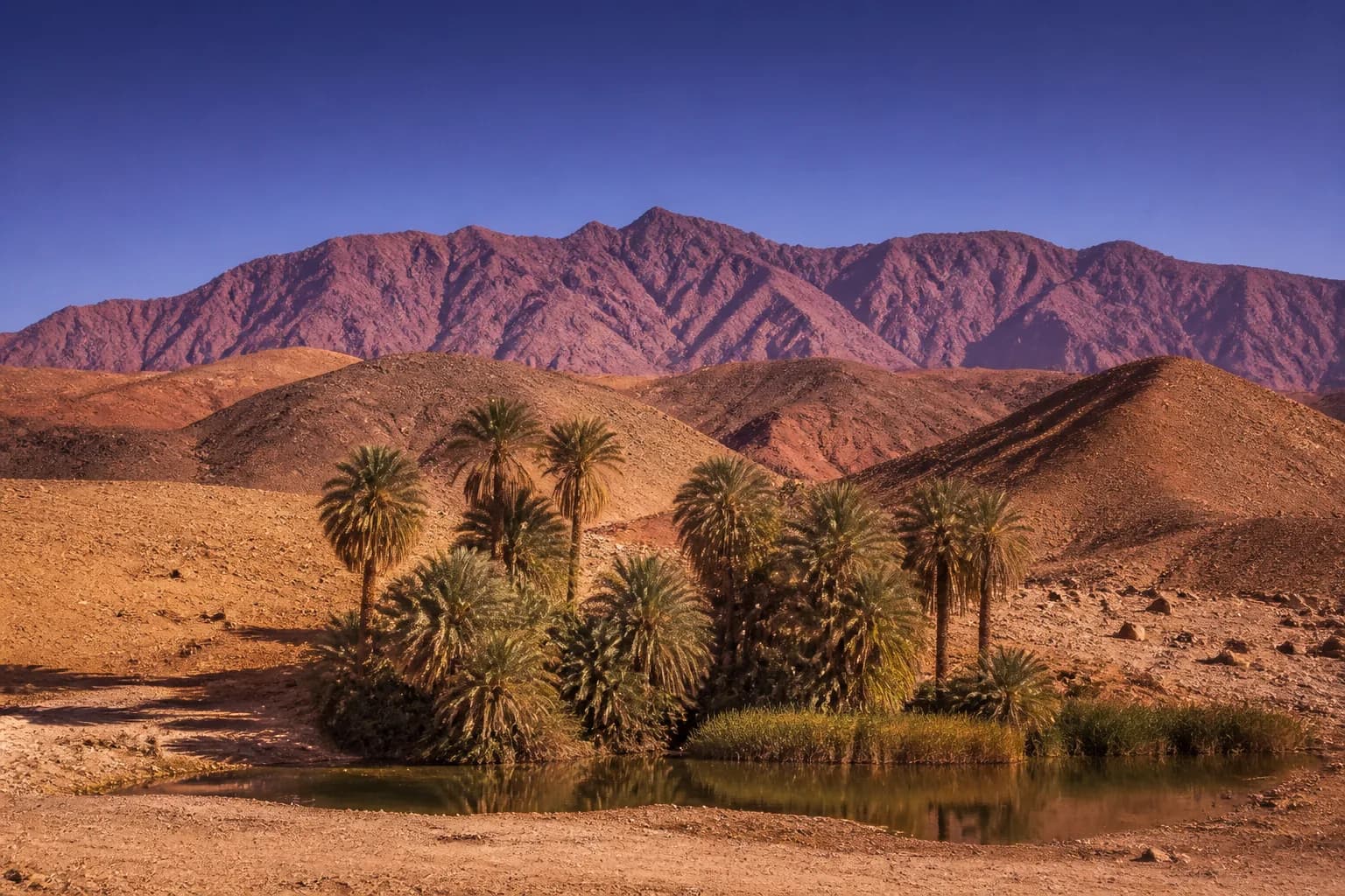 Desert moodboard 8