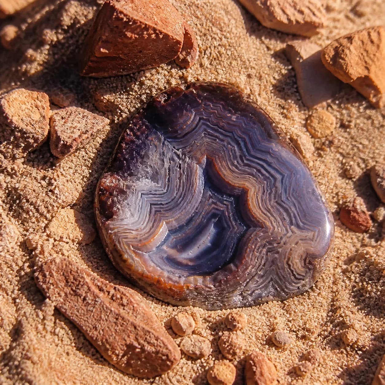 Desert moodboard 9
