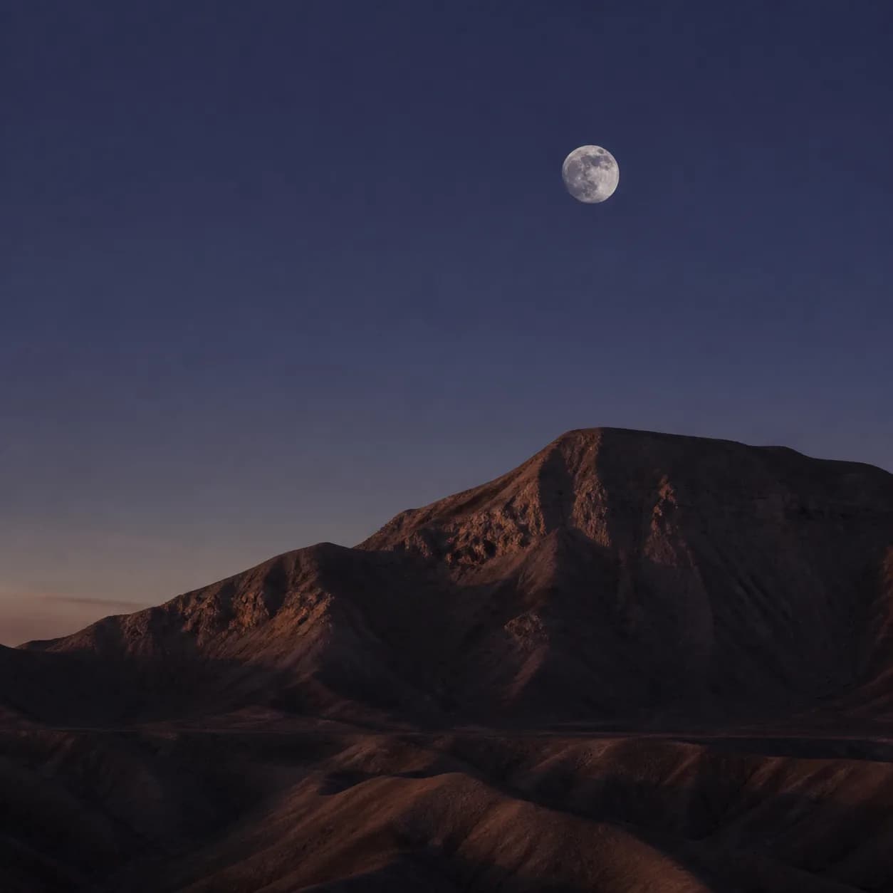 Desert moodboard 15