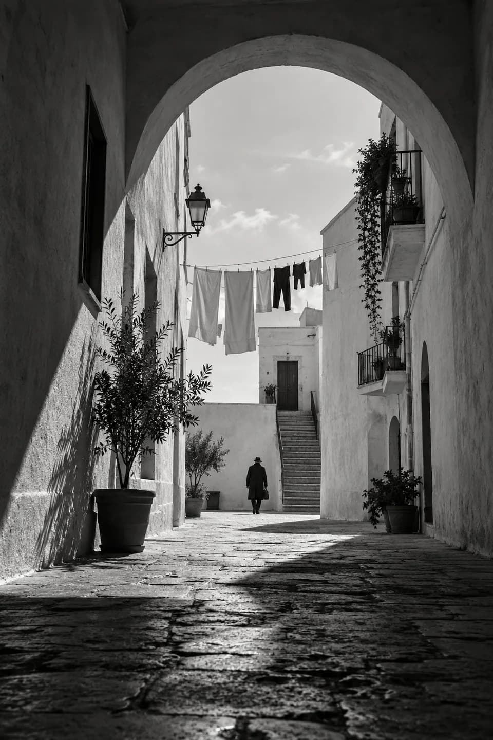 Cinematic black-and-white reference 8