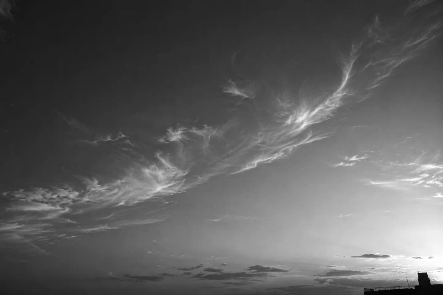 Cinematic black-and-white reference 13
