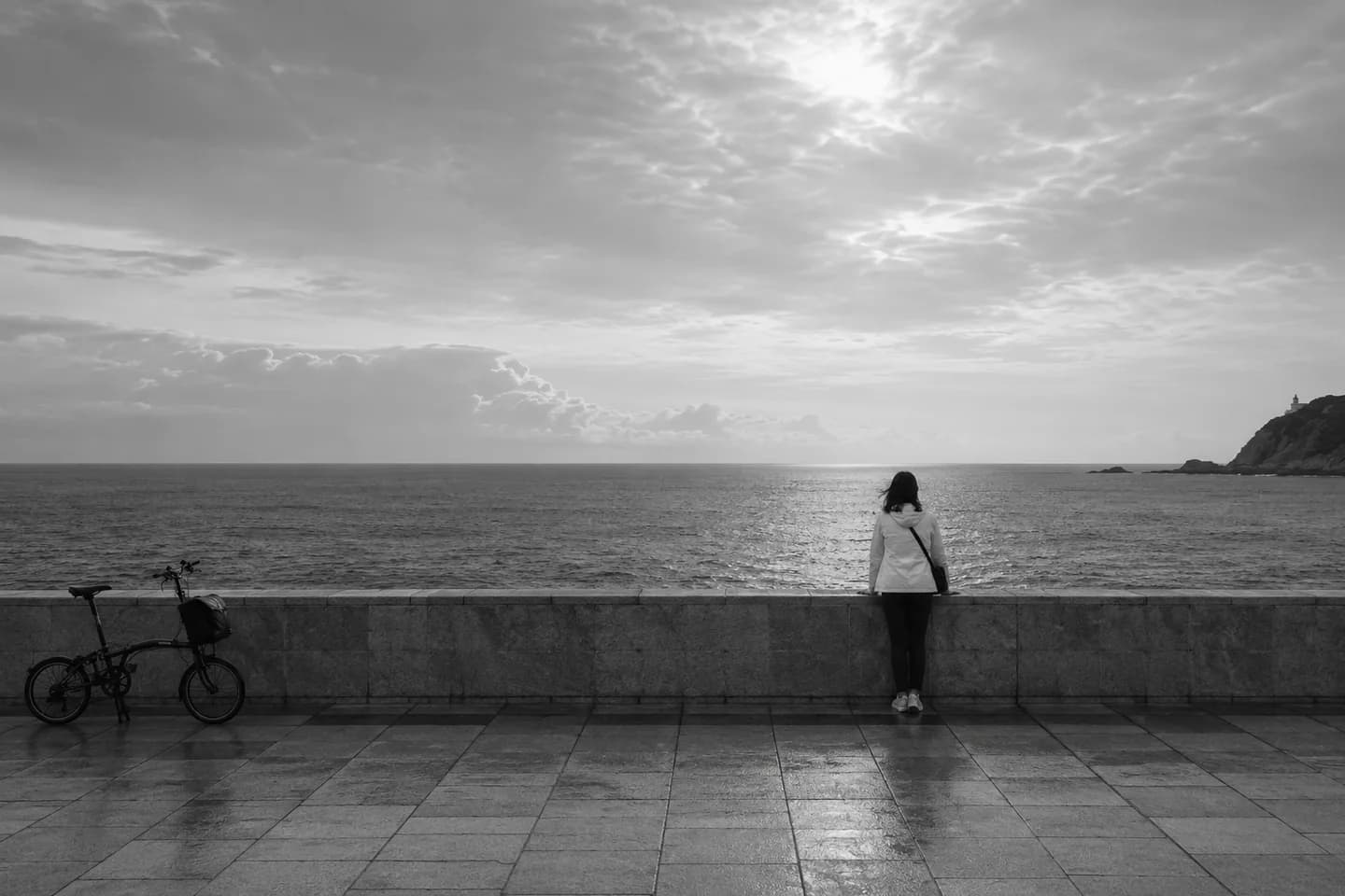 Cinematic black-and-white reference 18